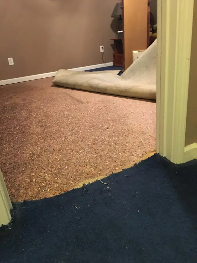 Carpet pad removal revealing water damage during Water Mitigation Services in Champlin