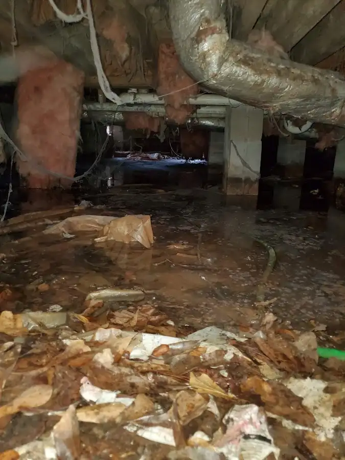 Crawl space flood assessment for Leak Detection & Repair in Champlin